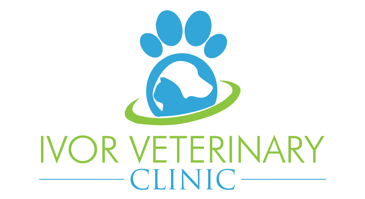 Sunshine Beach Vet - Logo Veterinary Png, Transparent Png - kindpng